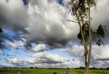 PG中国登录入口-奥地利队绝杀德国队，张本智和带队取胜