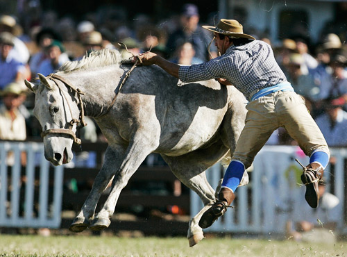 PG电子官网入口-南美洲冠级比赛进入白热化阶段,扣人心弦