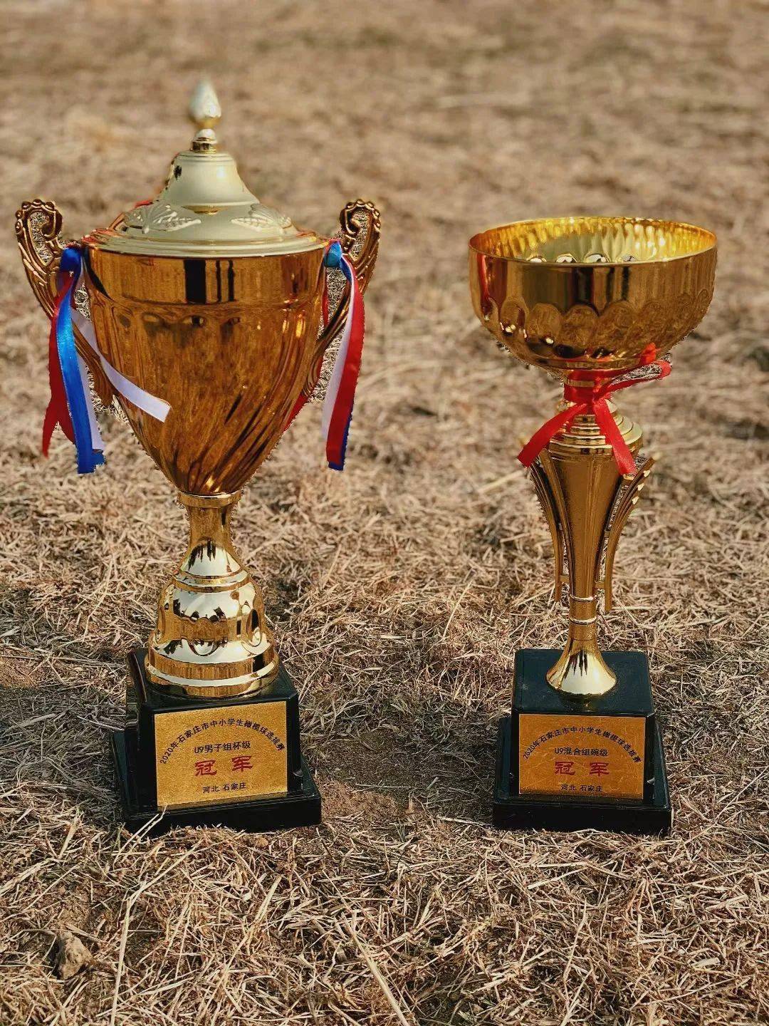 PG电子官网入口-克罗地亚选手在橄榄球比赛中夺得表现亮眼,斩获季军