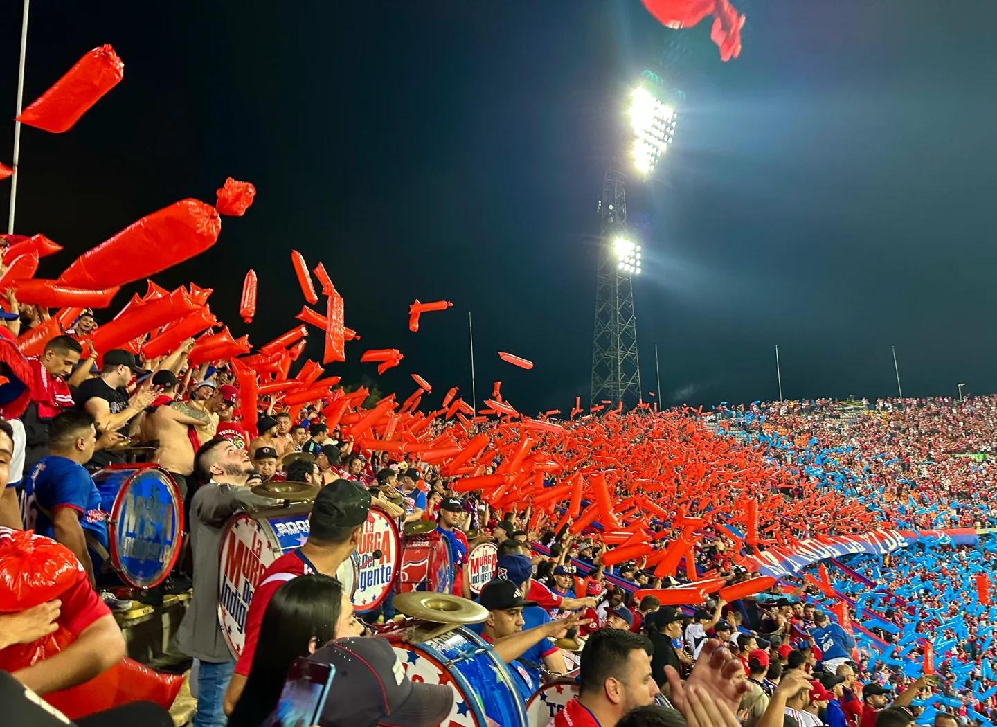 PG电子官方-里昂球迷疯狂挥舞球队旗帜，现场气氛火爆